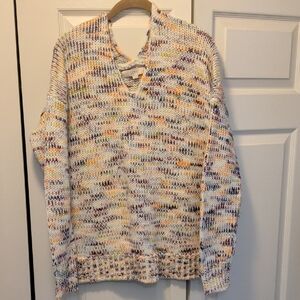 LOFT Multicolor V-Neck Sweater
